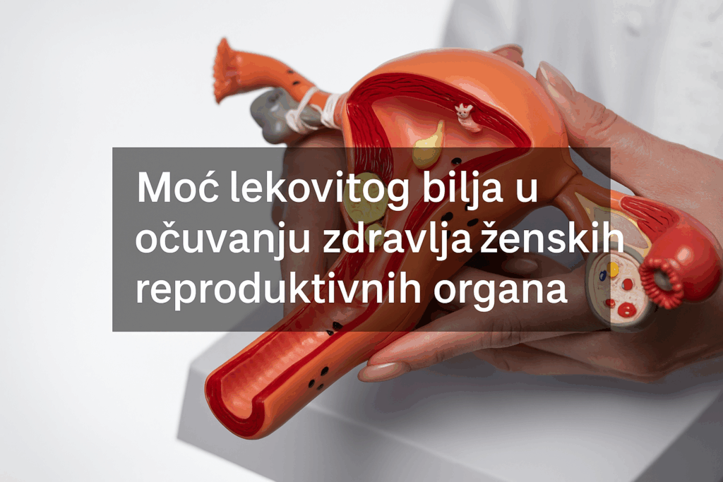Prirodna podrška za žensko zdravlje – Feminal čaj za upale, ciklus i ravnotežu hormona