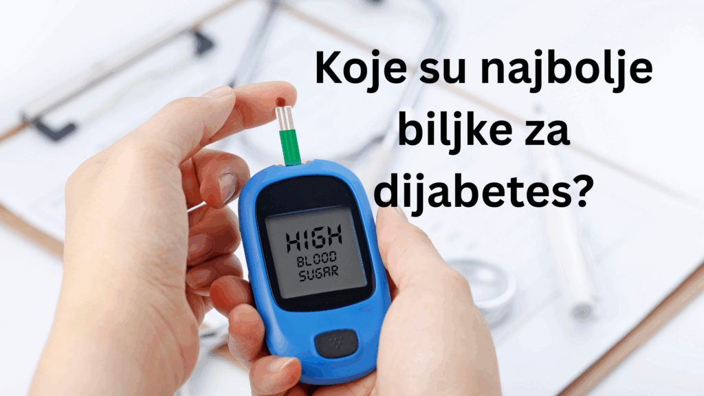 Koje su najbolje biljke za dijabetes